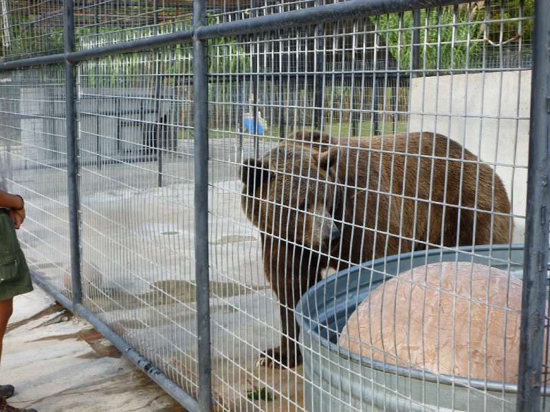 Eureka Springs 2013 067